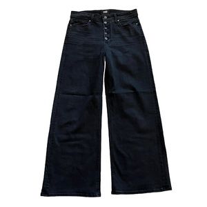 PAIGE Anessa Black Cropped Wide Leg Jeans, Size 29